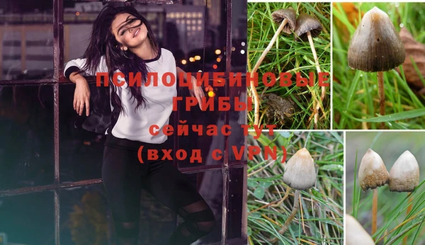 бошки Армянск