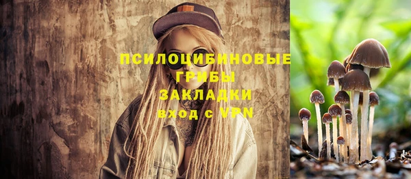 бошки Армянск