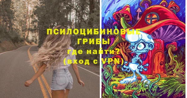 бошки Армянск