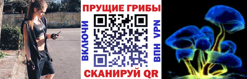 дарнет шоп  Меленки  Псилоцибиновые грибы MAGIC MUSHROOMS 